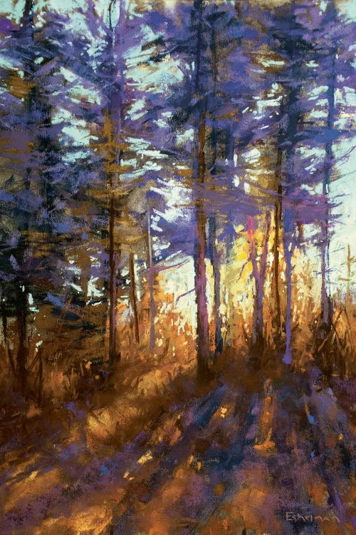 Enchanted Twilight
