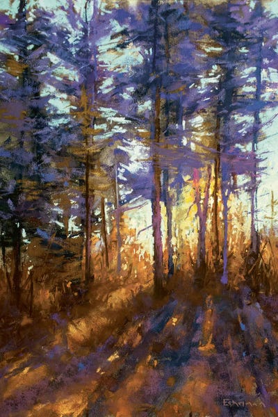 Enchanted Twilight