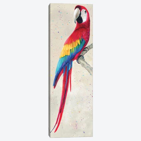Parrot Canvas Print #KIH102} by Kim Haskins Art Print