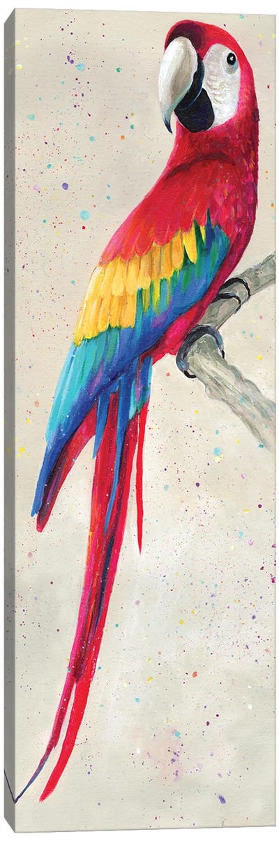 Parrot Canvas Art Print - Kim Haskins