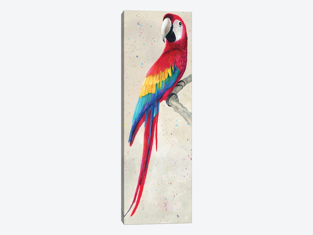 Parrot by Kim Haskins 1-piece Canvas Print