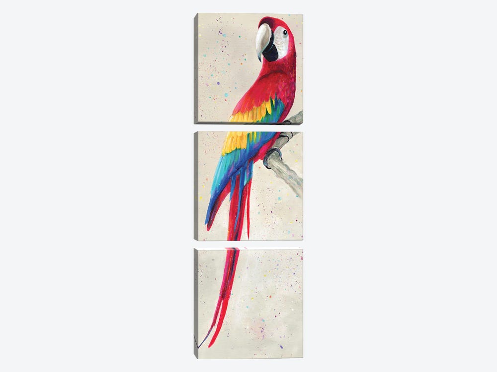 Parrot by Kim Haskins 3-piece Canvas Art Print