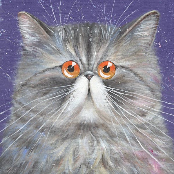 Cats: Sally by Kim Haskins