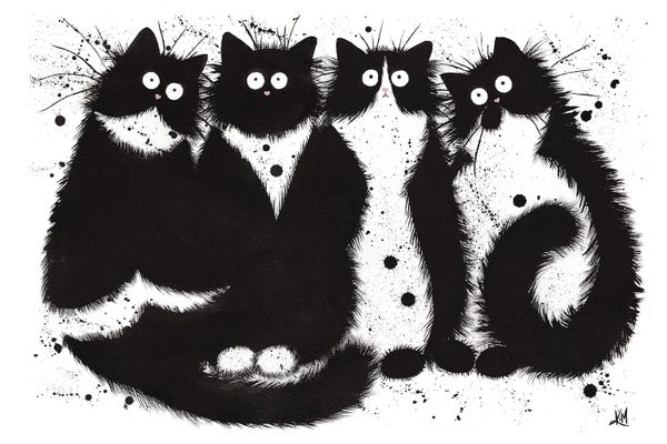 Black Cats: Fab Four by Kim Haskins