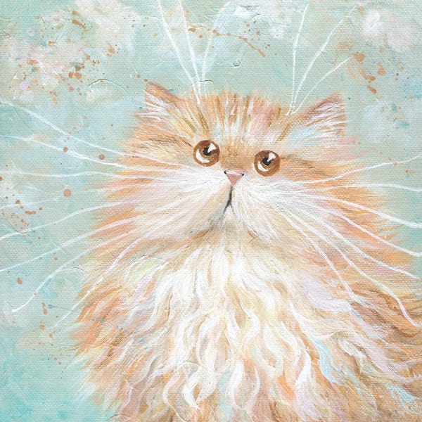 Orange Cats: Cherub by Kim Haskins
