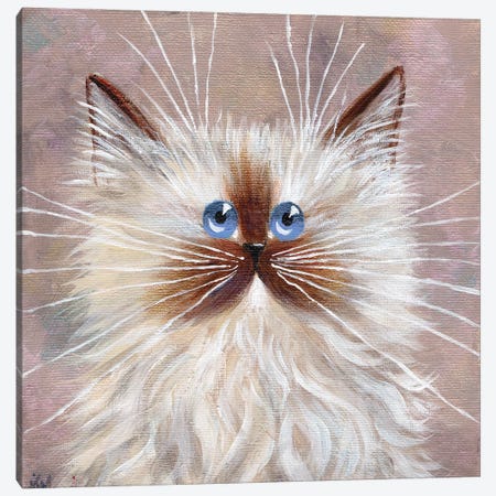Seal Point Kitten Canvas Print #KIH122} by Kim Haskins Canvas Print