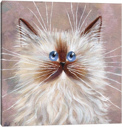 Seal Point Kitten Canvas Art Print - Baby Animal Art