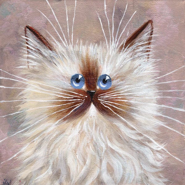 Kim Haskins: Seal Point Kitten by Kim Haskins