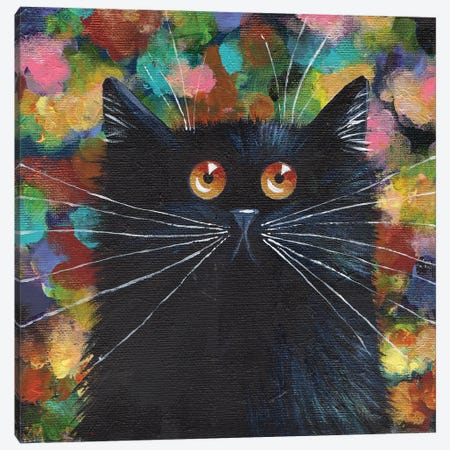 Sparkle Black Cat Canvas Print #KIH123} by Kim Haskins Art Print