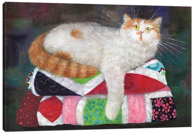 Dotty On Quilts Canvas Art Print - Orange Cat Art