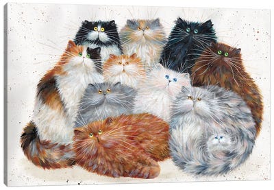 Fluffy Eleven Canvas Art Print - Cat Art