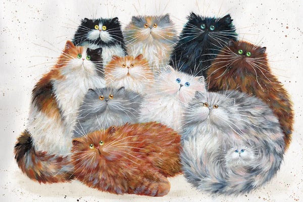 Cats: Fluffy Eleven by Kim Haskins