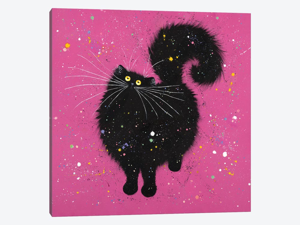 Black Cat And Super Pink by Kim Haskins 1-piece Canvas Art Print
