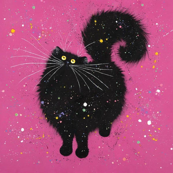Kim Haskins: Black Cat And Super Pink by Kim Haskins