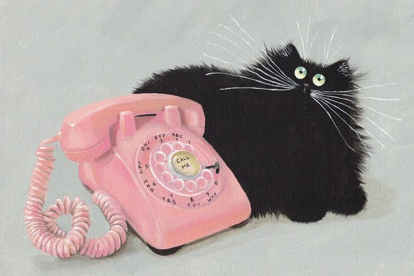 Black Cats: Call Me Cat Pink Phone by Kim Haskins