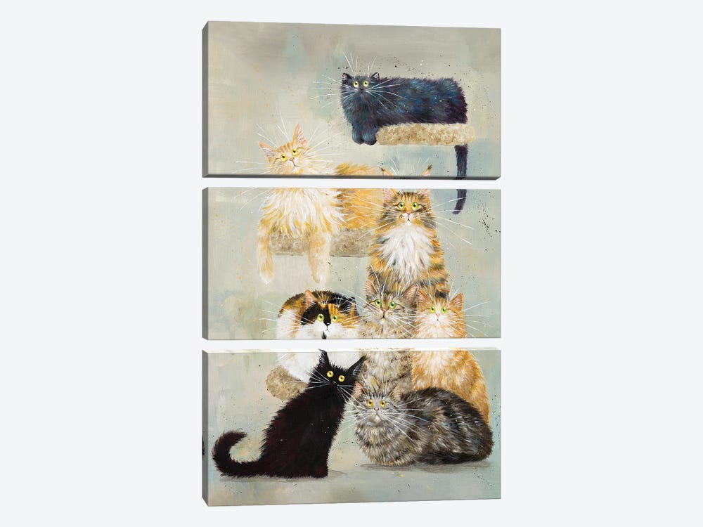 The Haynes Cats by Kim Haskins 3-piece Canvas Art Print