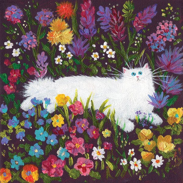 Kim Haskins: White Cat In Flowers by Kim Haskins