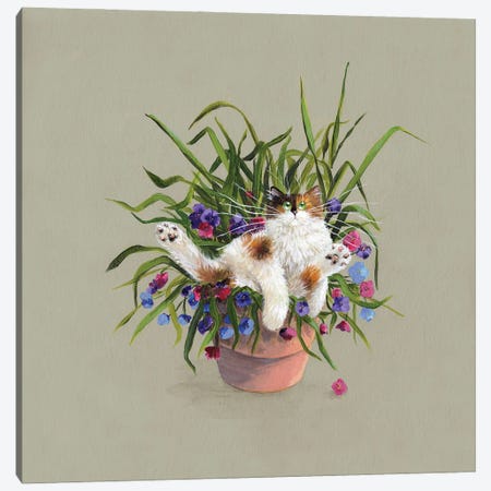 Flower Pot Bed Canvas Print #KIH144} by Kim Haskins Canvas Art