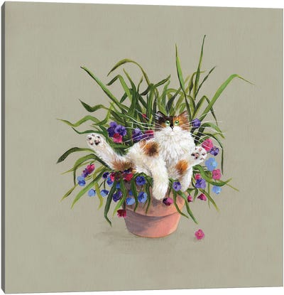 Flower Pot Bed Canvas Art Print - Kim Haskins