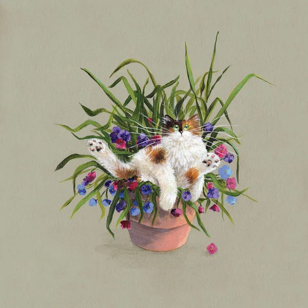 Kim Haskins: Flower Pot Bed by Kim Haskins