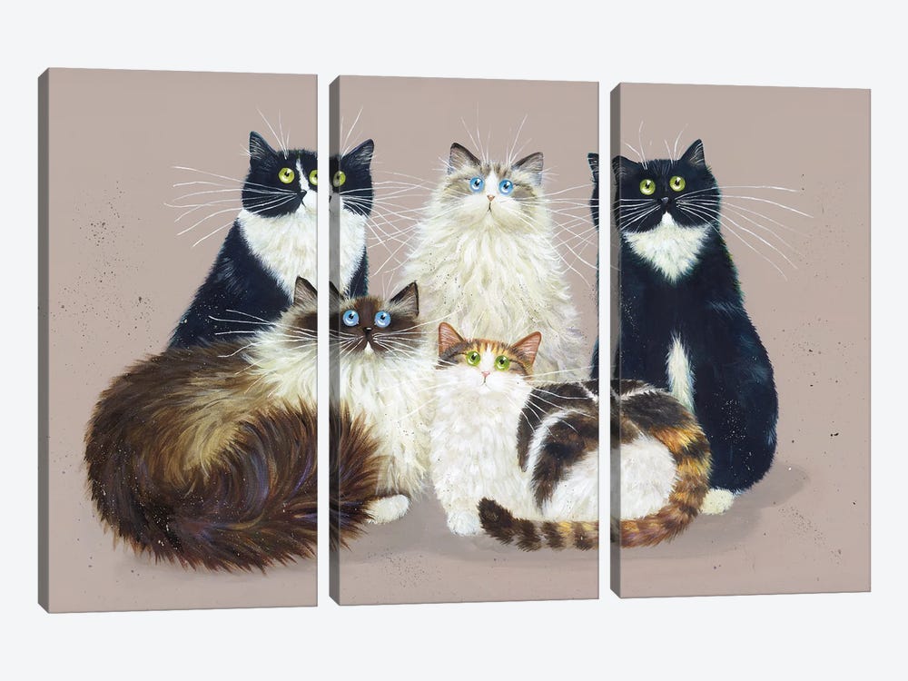 Five Cat Gang by Kim Haskins 3-piece Canvas Art Print