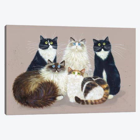 Five Cat Gang Canvas Print #KIH148} by Kim Haskins Art Print
