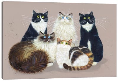 Five Cat Gang Canvas Art Print - Calico Cat Art