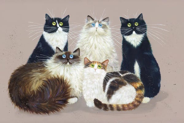Tuxedo Cats: Five Cat Gang by Kim Haskins