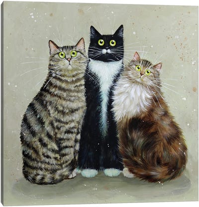 Alfred Bugsy Tilly Canvas Art Print - Tabby Cat Art