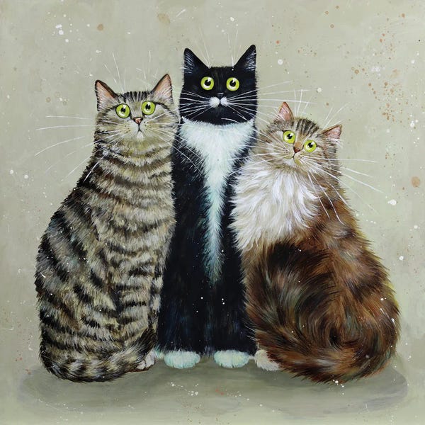 Tabbies: Alfred Bugsy Tilly by Kim Haskins