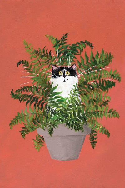 Ferns: Cleo In A Fern by Kim Haskins