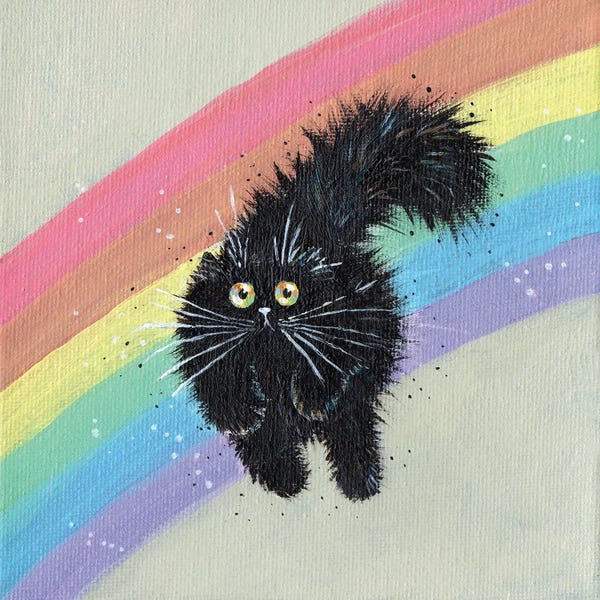 Kim Haskins: Rainbow Running Black Cat by Kim Haskins