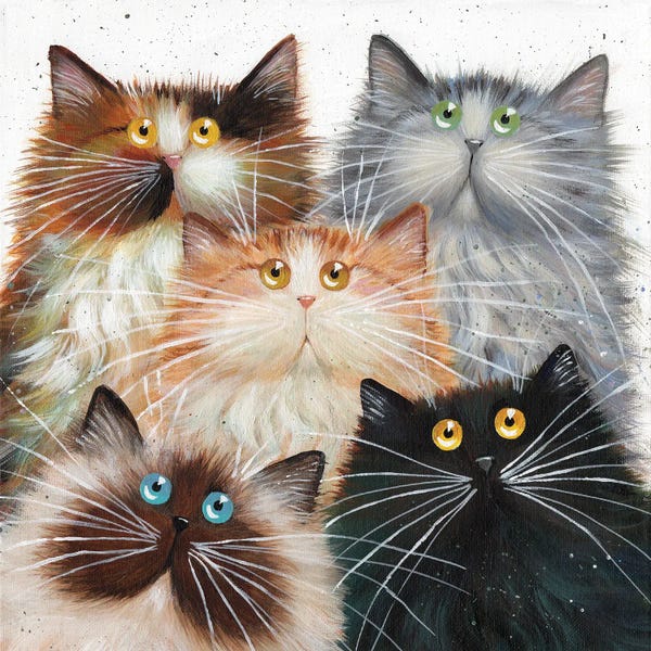 Whimsical Décor: Fluffy Five by Kim Haskins