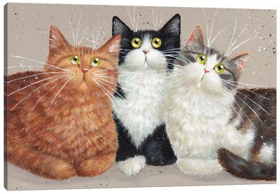 Bruno Sammy And Milo Canvas Art Print - Orange Cat Art