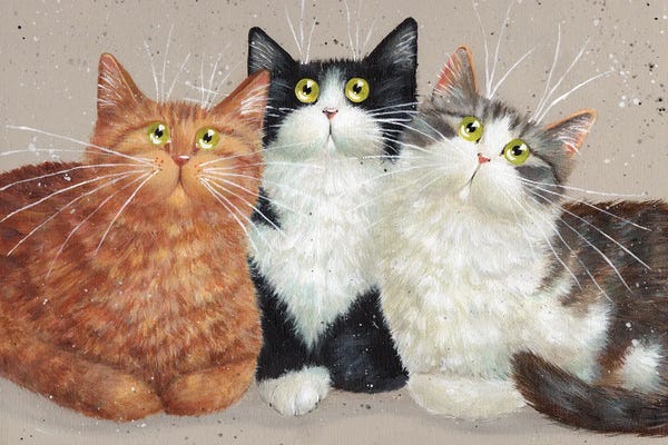 Kim Haskins: Bruno Sammy And Milo by Kim Haskins