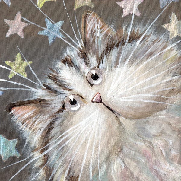 Kim Haskins: Starlet by Kim Haskins