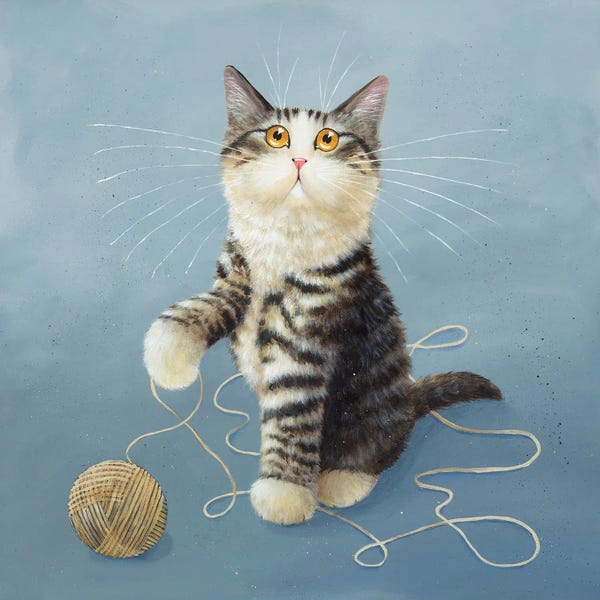 Kittens: Deadly Ledley by Kim Haskins