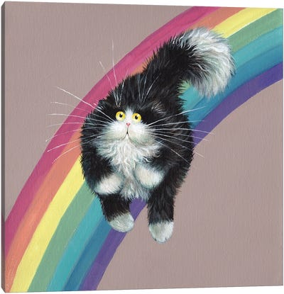 Rainbow Canvas Art Print - Kim Haskins