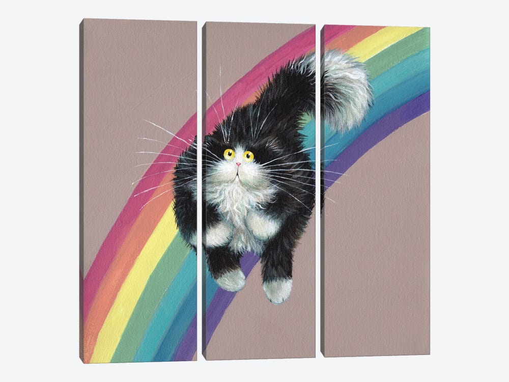 Rainbow by Kim Haskins 3-piece Canvas Print