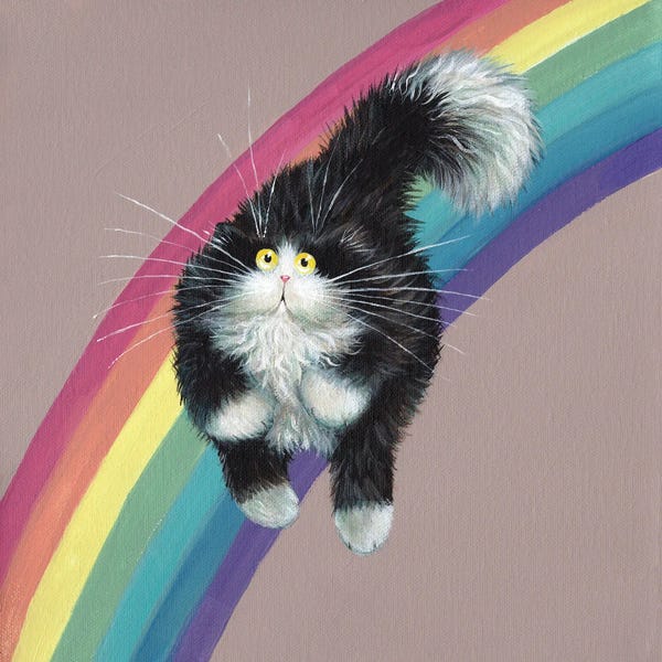 Kim Haskins: Rainbow by Kim Haskins