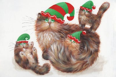 Elves