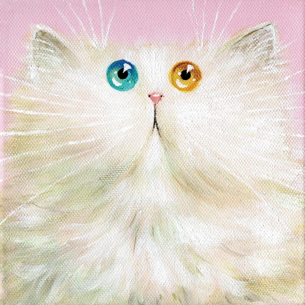 Persians: Mochi by Kim Haskins