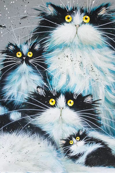Tuxedo Cats: Family Of Fur by Kim Haskins