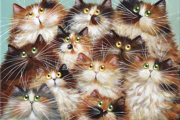 Calico Cats: Where'S Molly by Kim Haskins