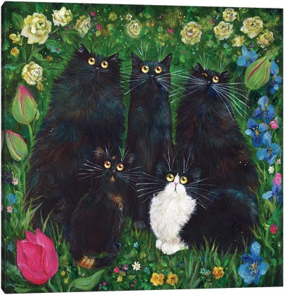 Daisy, Treacle, Lulu, Pepsi, Cripps Canvas Art Print - Black Cat Art