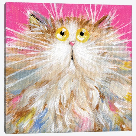 Mini Rainbow On Pink Canvas Print #KIH190} by Kim Haskins Canvas Art