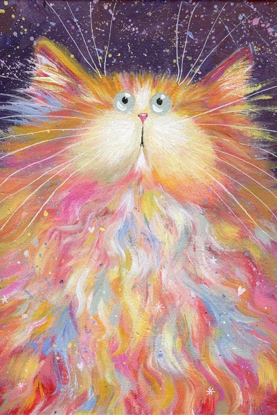 Orange Cats: Baloof by Kim Haskins