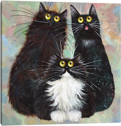 Black and White Trio Canvas Art Print - Tuxedo Cat Art