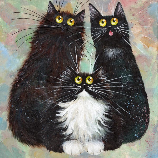 Tuxedo Cats: Black and White Trio by Kim Haskins