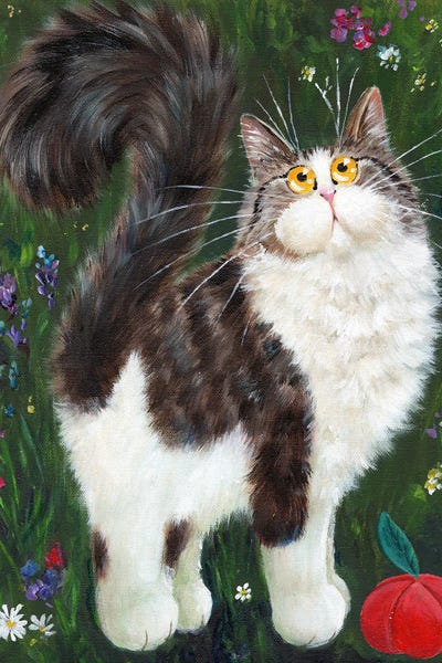 Tabbies: Denny by Kim Haskins